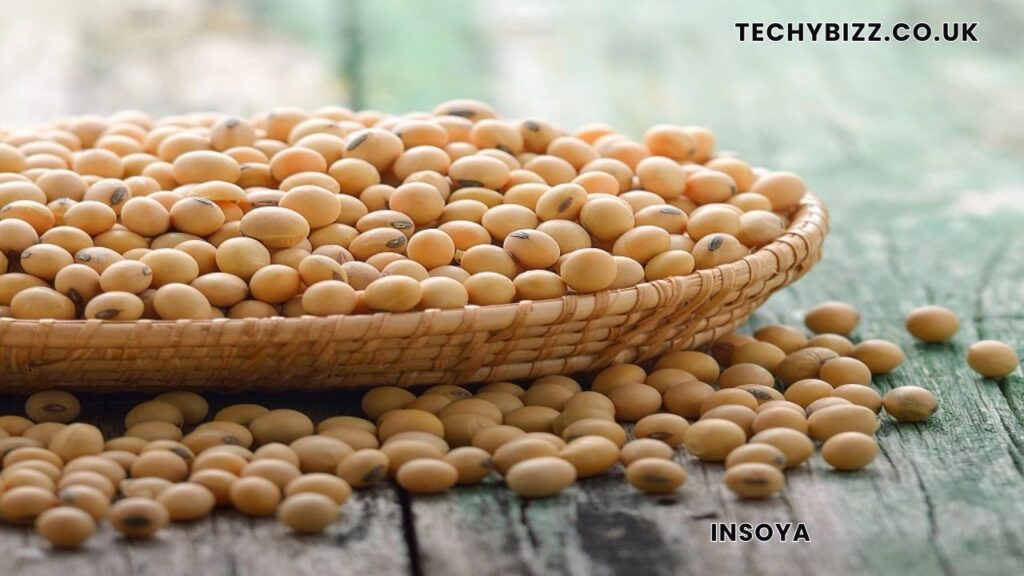 Insoya